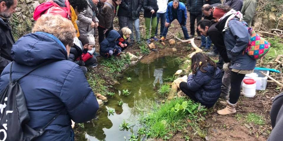 2edicio-premi-natura-i-societat